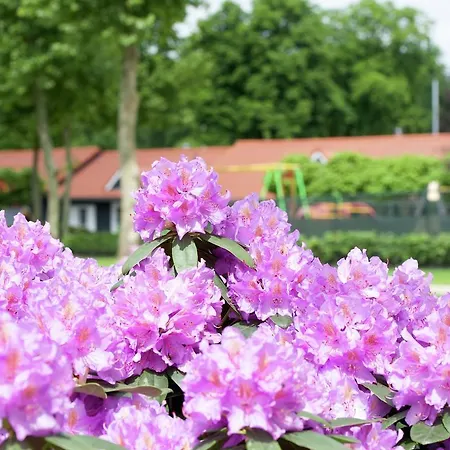 Characteristic With A Terrace At Bedafse Bergen Semesterbostad *